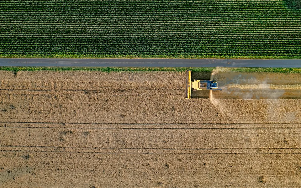 Aerial view of a combine crossing contrasting crop rows near Weinheim, Germany.